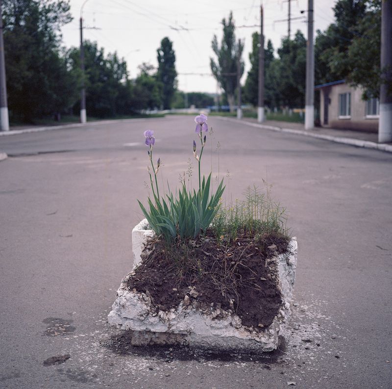 © Ioana Cirlig - Image from the BOTANICA photography project