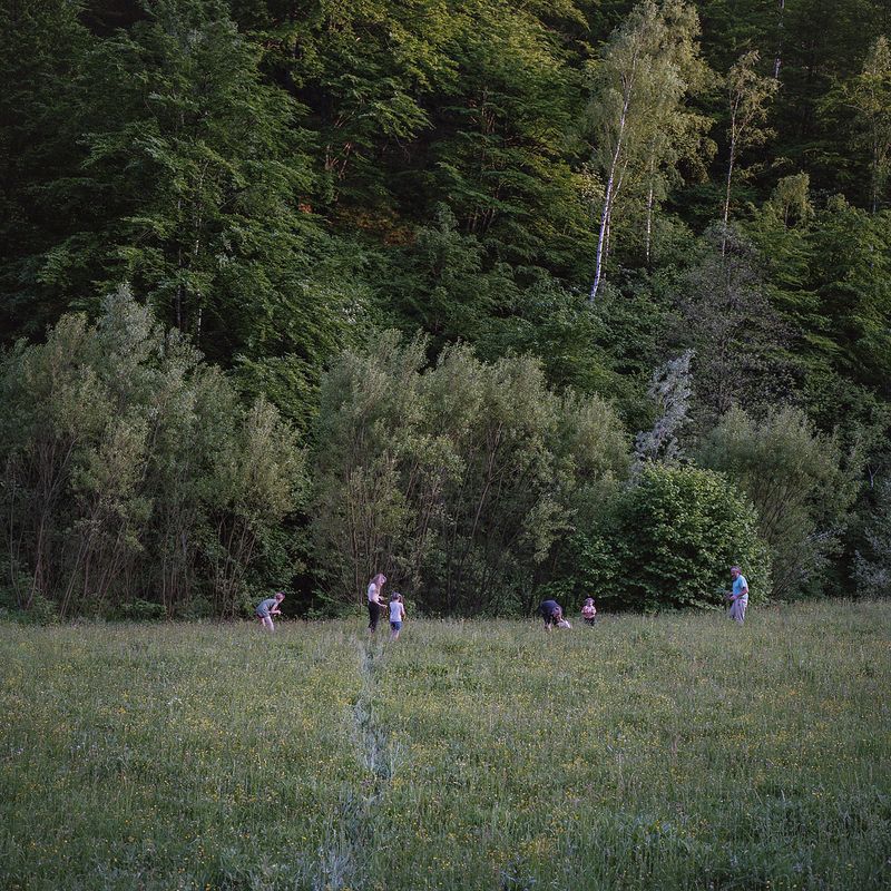 © Ioana Cirlig - Gathering medicinal plats.