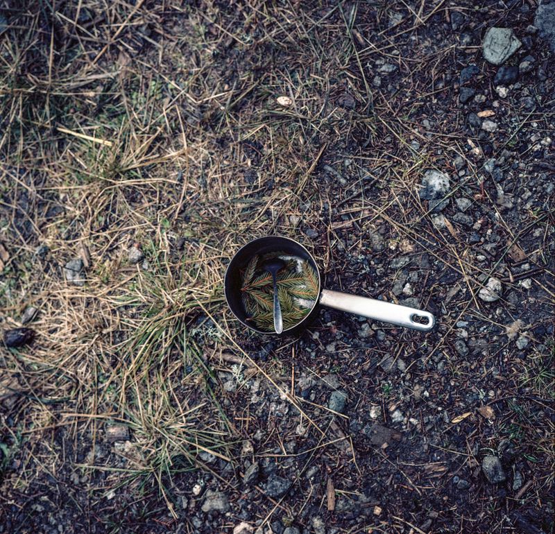 © Ioana Cirlig - Pine tea.