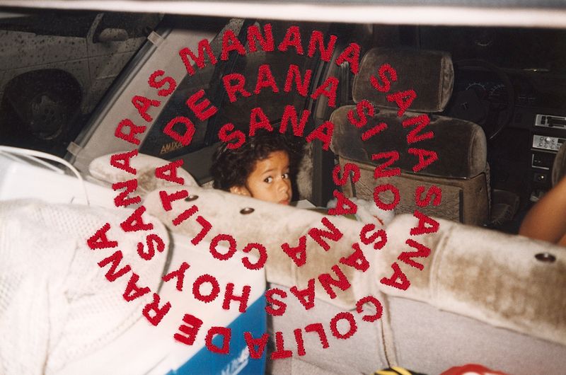 © Daniela Spector - Sana Sana XI, 2025