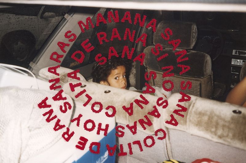 © Daniela Spector - Sana Sana XI, 2025
