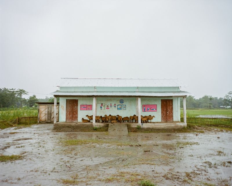 © András Zoltai - Image from the Flood Me, I'll Be Here photography project