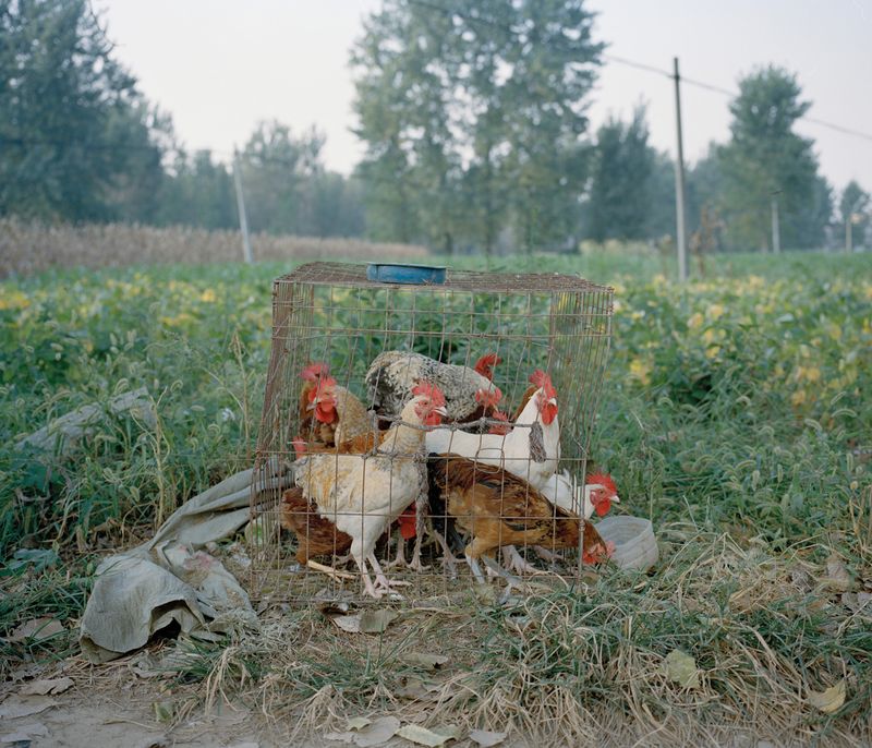 © Yangkun Shi - Image from the solastalgia photography project