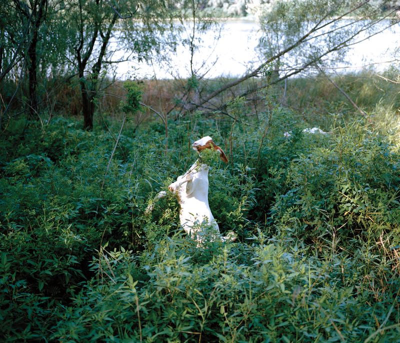 © Yangkun Shi - Image from the solastalgia photography project