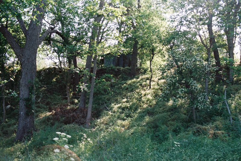 © Anneke Paterson - Image from the How the Sun was Born and Time Began photography project