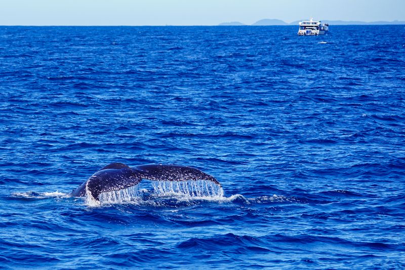 © Ismail Shahiq Shiyaad - Tales of Ocean