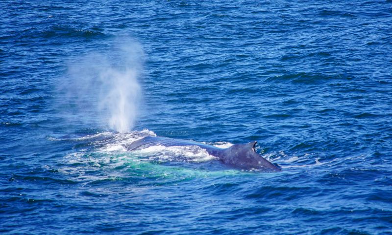 © Ismail Shahiq Shiyaad - Ocean Breathe