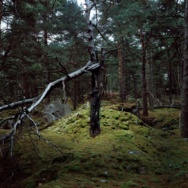 © Alexandra Serrano - 2014