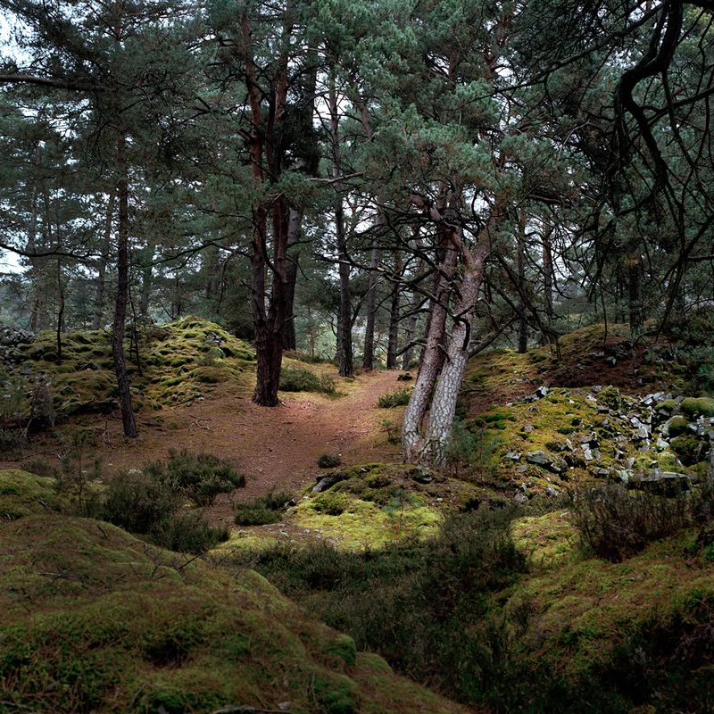 © Alexandra Serrano - 2014