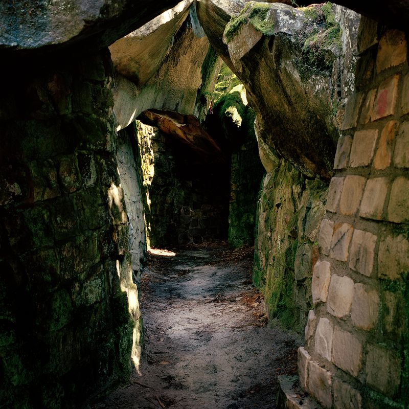 © Alexandra Serrano - 2016