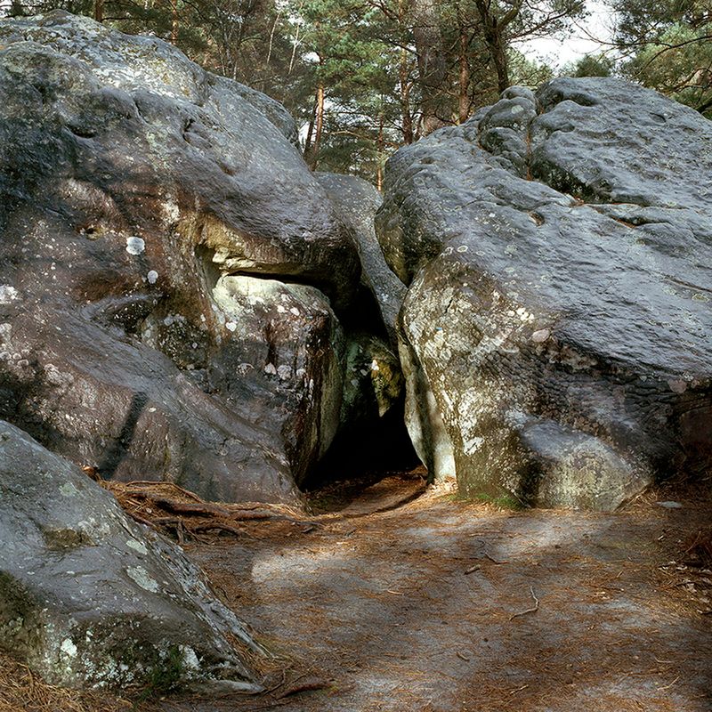 © Alexandra Serrano - 2016