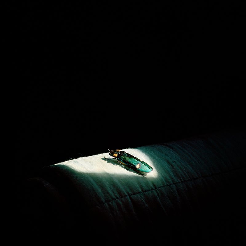 © Alexandra Serrano - 2016