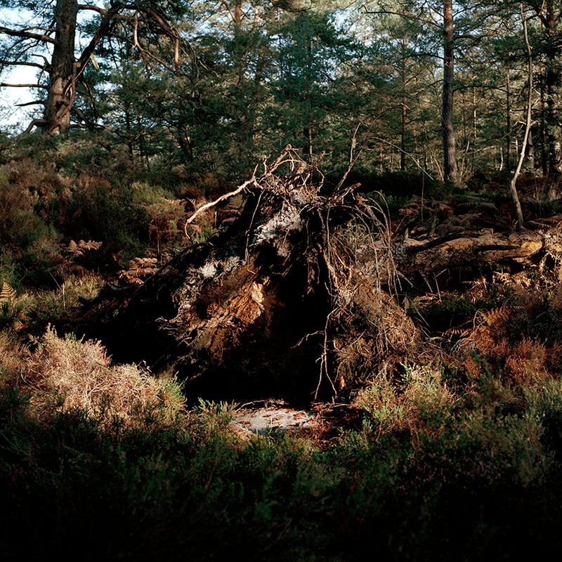 © Alexandra Serrano - 2015