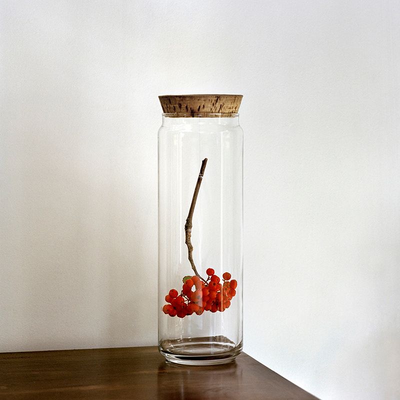 © Alexandra Serrano - 2015