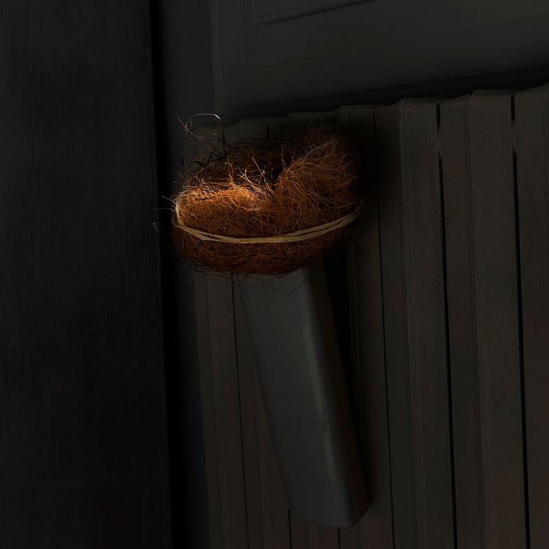 © Alexandra Serrano - 2016