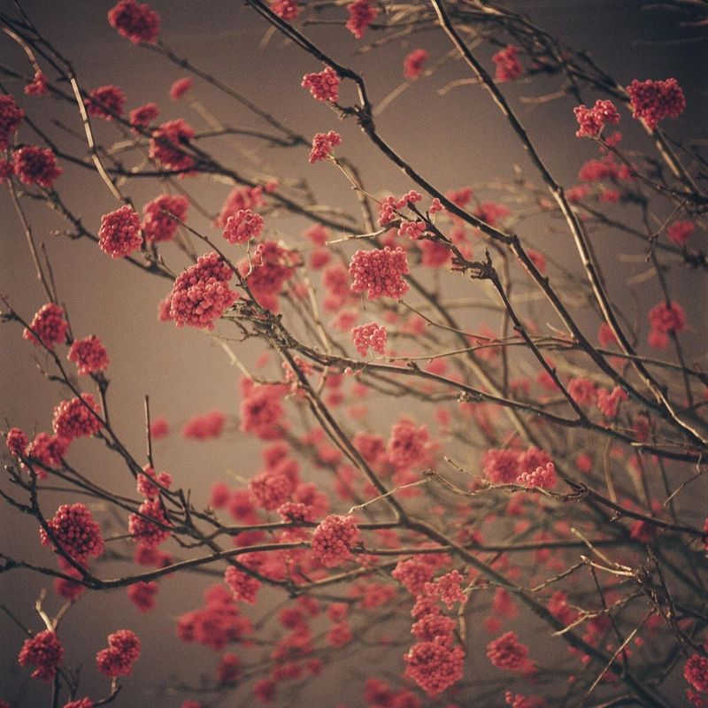 © David Simon Martret - Image from the A Junk Love photography project