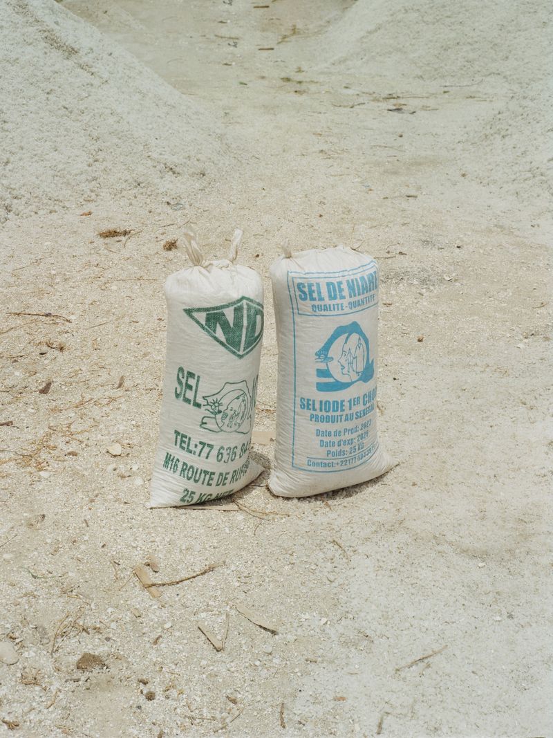 © Denisse Ariana Pérez - Image from the Rose photography project