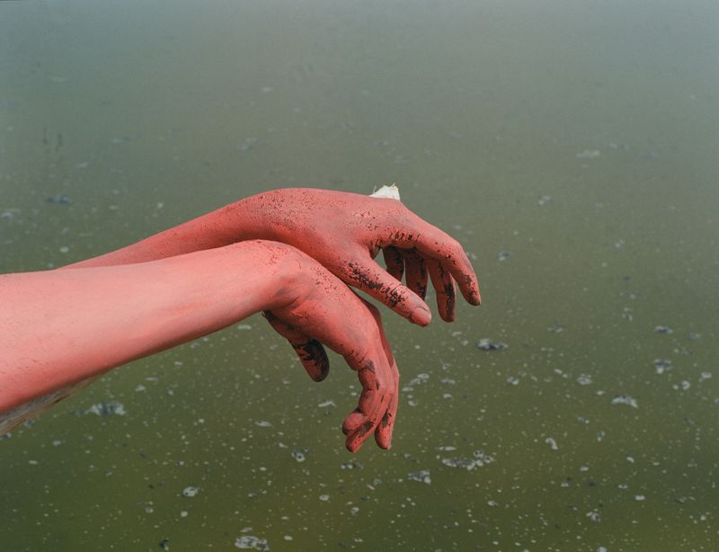 © Denisse Ariana Pérez - Image from the Rose photography project