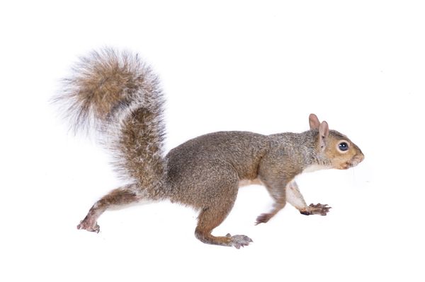 © Emanuela Colombo - Image from the Aliens photography project