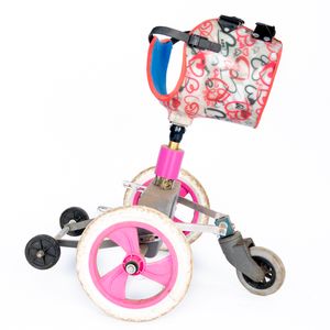 SUPERPETS : WHEN LIFE IS RESTORED THROUGHT A PROSTHESIS