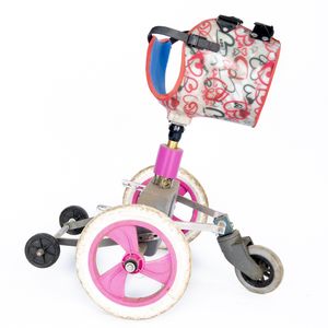 SUPERPETS : WHEN LIFE IS RESTORED THROUGHT A PROSTHESIS