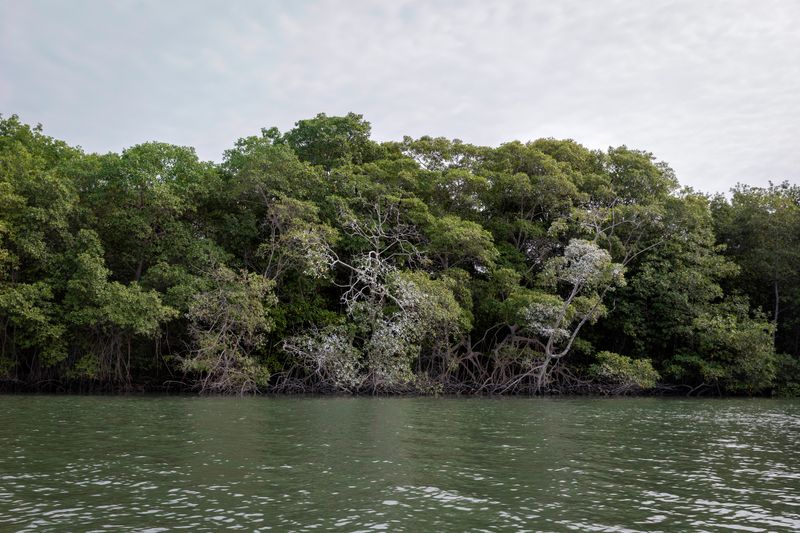 © Karen Toro - Image from the An Imaginary Island photography project