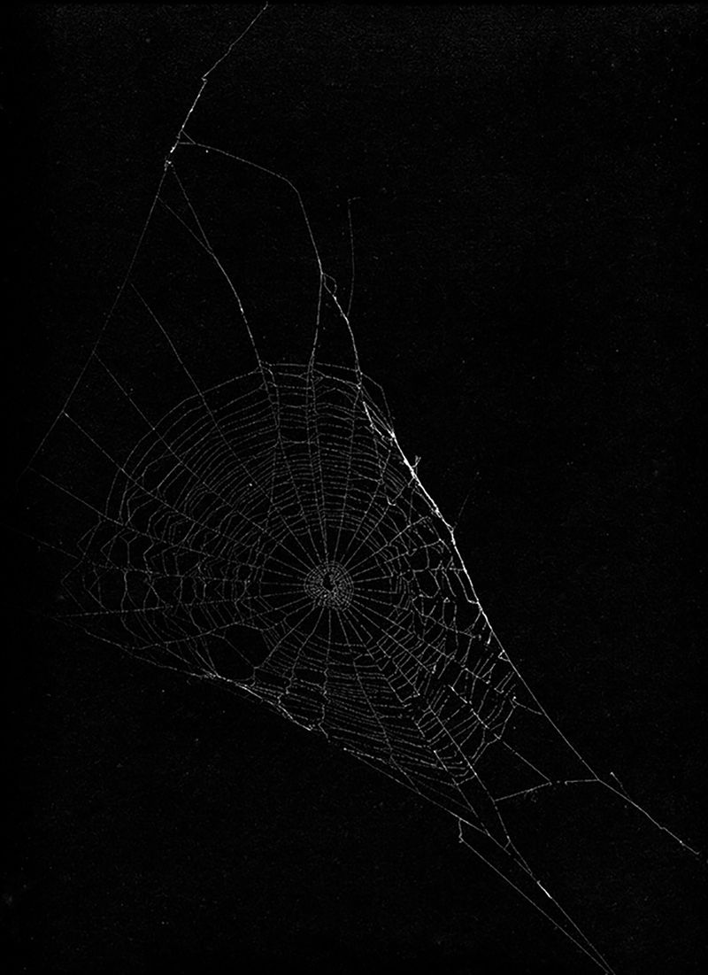 © Stacy Kranitz - Spider Web, 2018