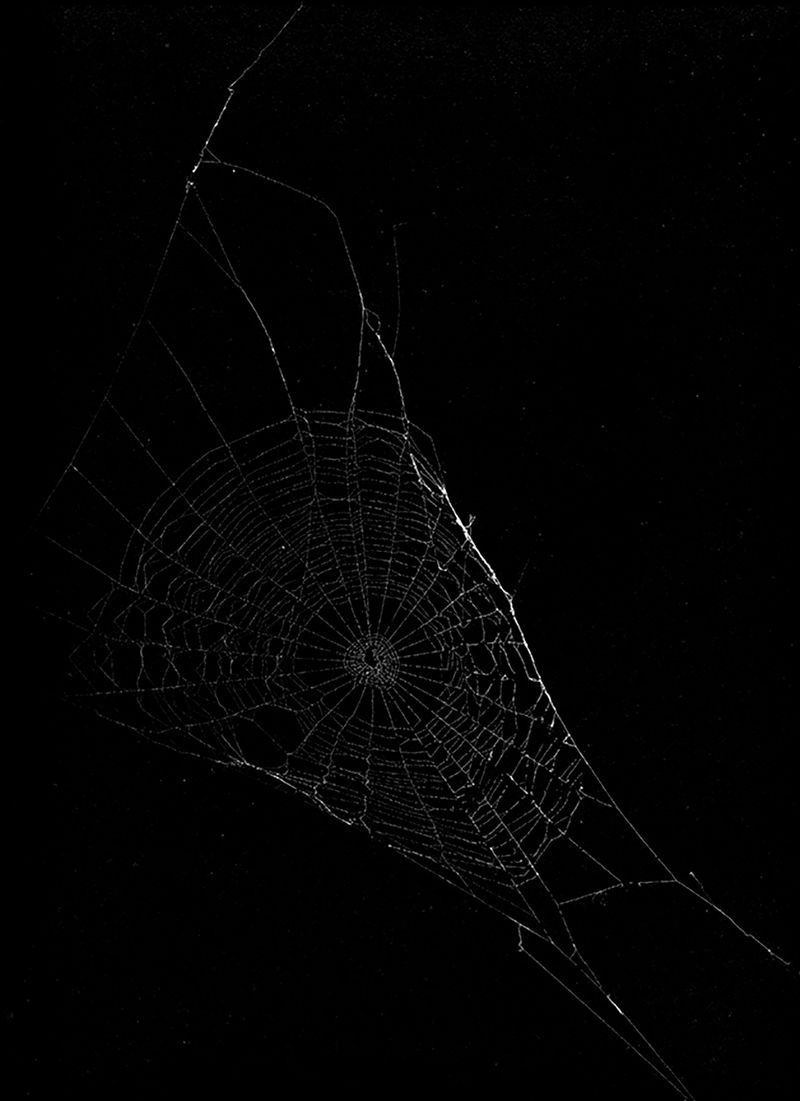 © Stacy Kranitz - Spider Web, 2018