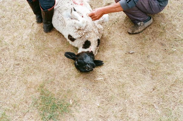 © alessandro iovino - Image from the China DISCONNECT photography project