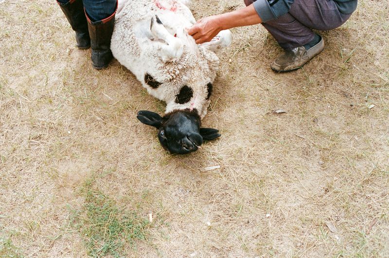 © alessandro iovino - Image from the China DISCONNECT photography project