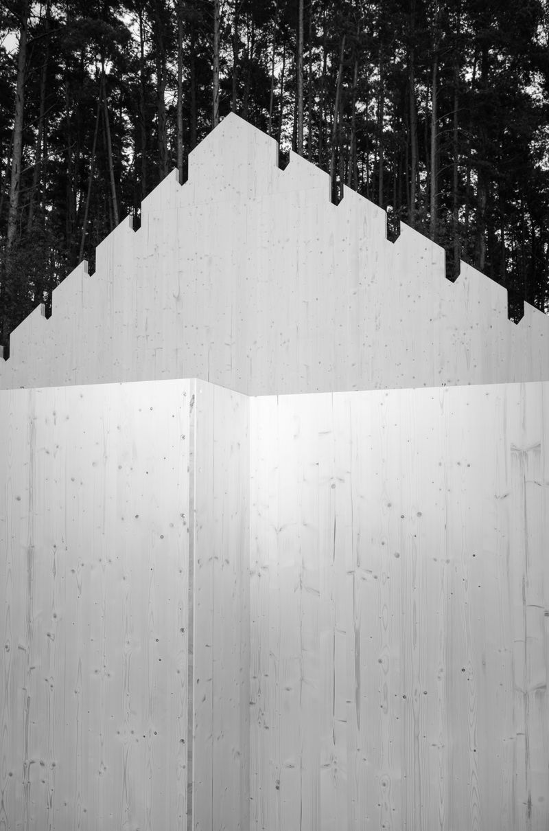 © Adrian Svec - Image from the Birdies photography project