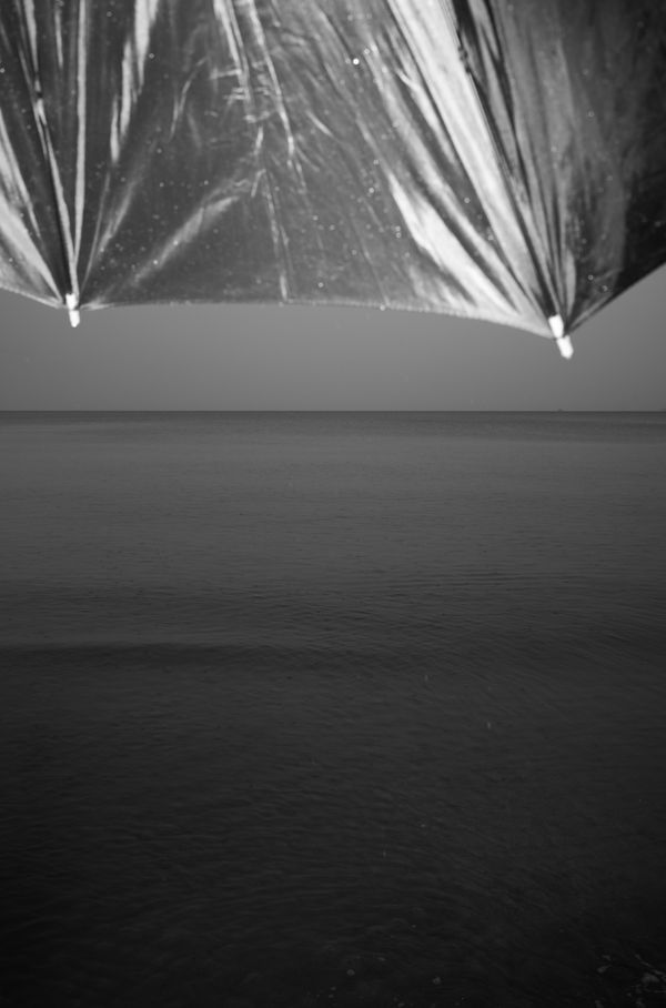 © Adrian Svec - Image from the Birdies photography project