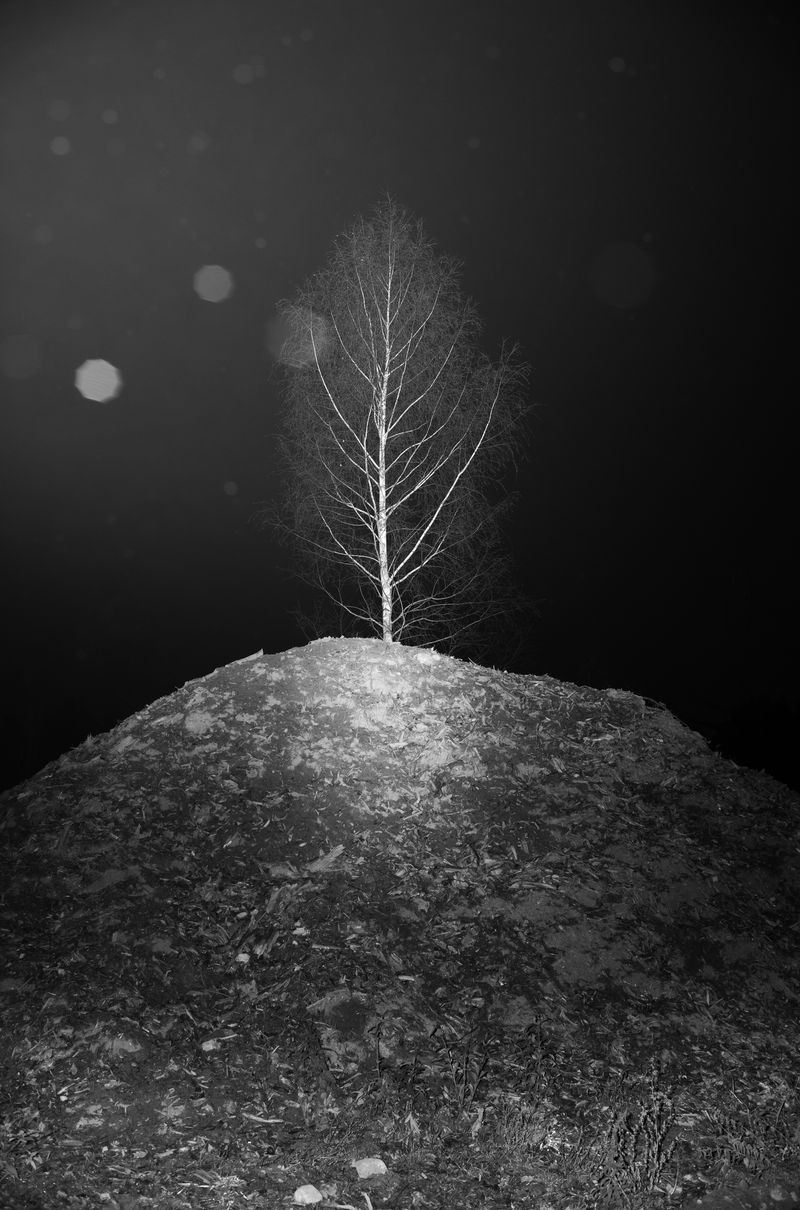 © Adrian Svec - Image from the Birdies photography project