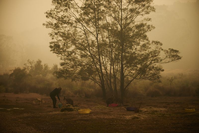 © Christina Simons - Image from the Australian Apocalypse: The Consequences of the Australian Bushfires photography project