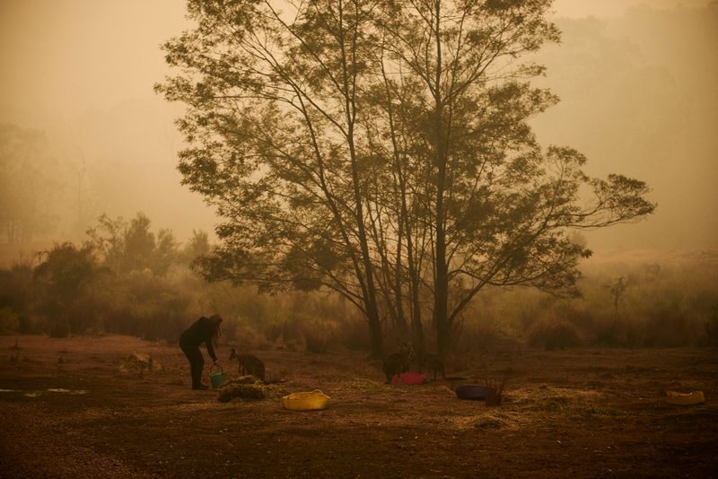 © Christina Simons - Image from the Australian Apocalypse: The Consequences of the Australian Bushfires photography project
