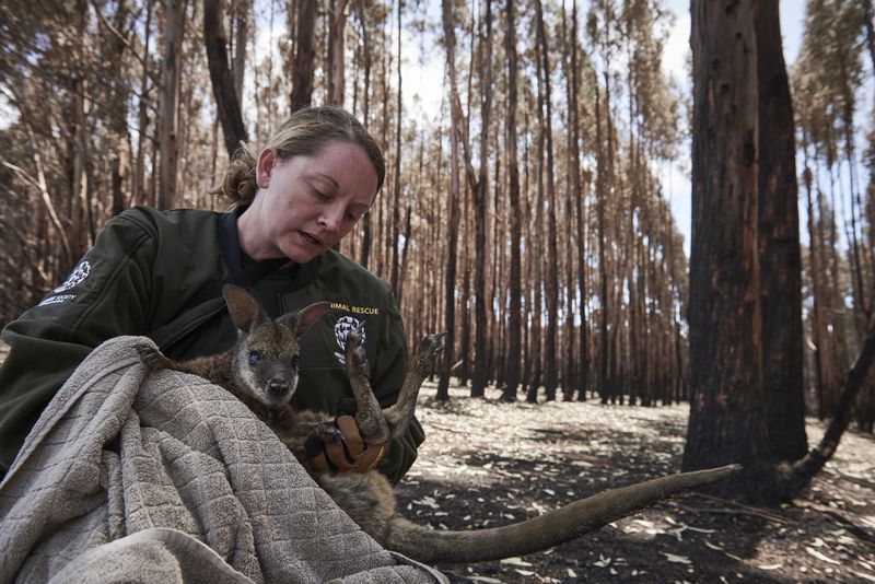 © Christina Simons - Image from the Australian Apocalypse: The Consequences of the Australian Bushfires photography project