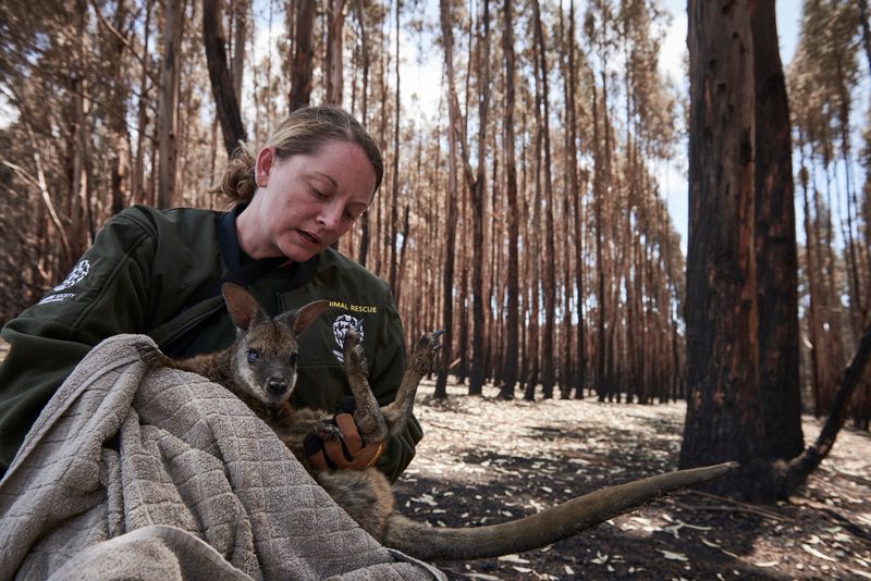 © Christina Simons - Image from the Australian Apocalypse: The Consequences of the Australian Bushfires photography project