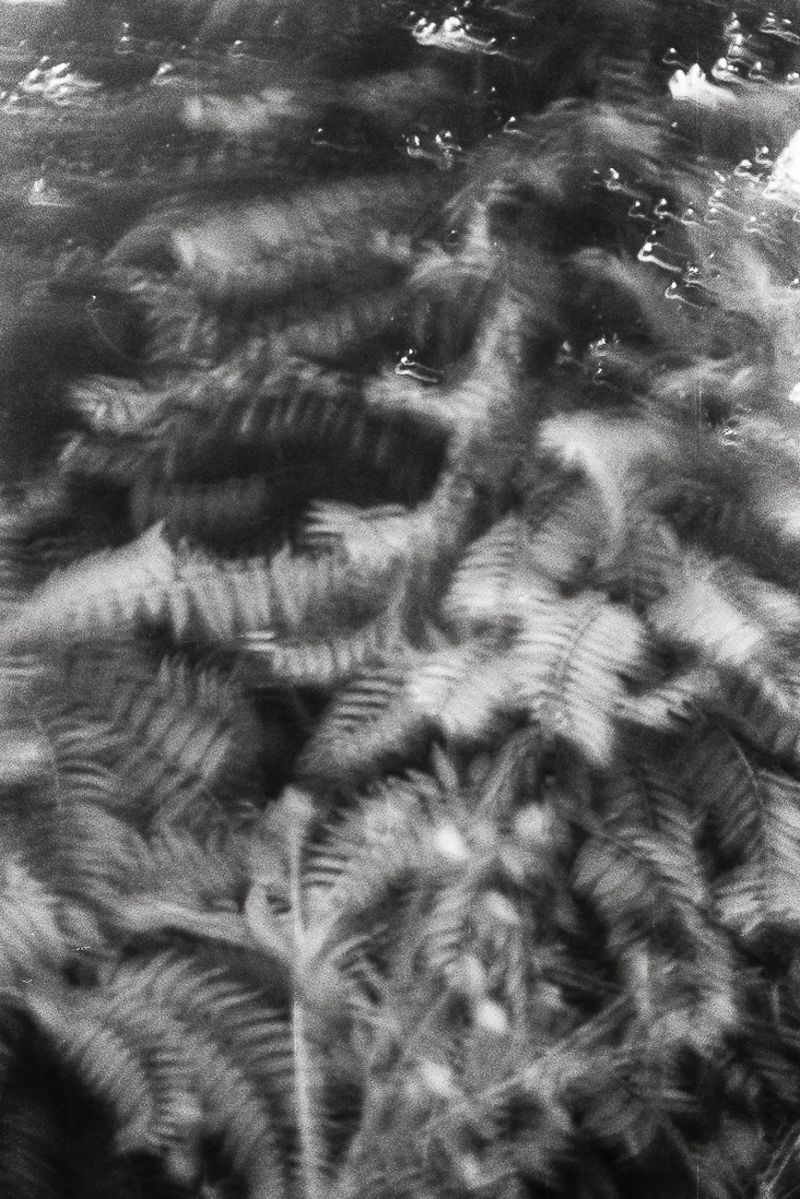 © Barbara Debeuckelaere - 'Om-2.jpgWomen in Tel Rumeida have the love for their gardens and plants in common. They cherish them.