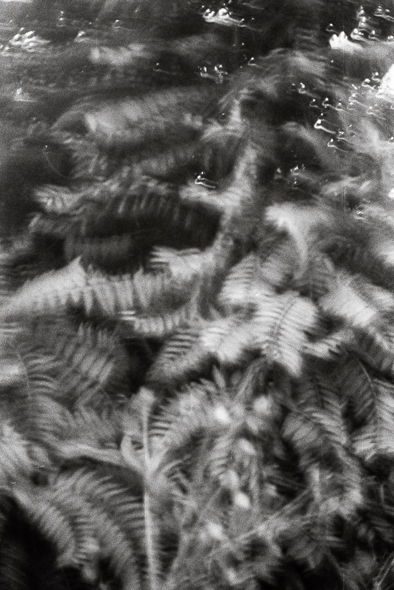 © Barbara Debeuckelaere - 'Om-2.jpgWomen in Tel Rumeida have the love for their gardens and plants in common. They cherish them.