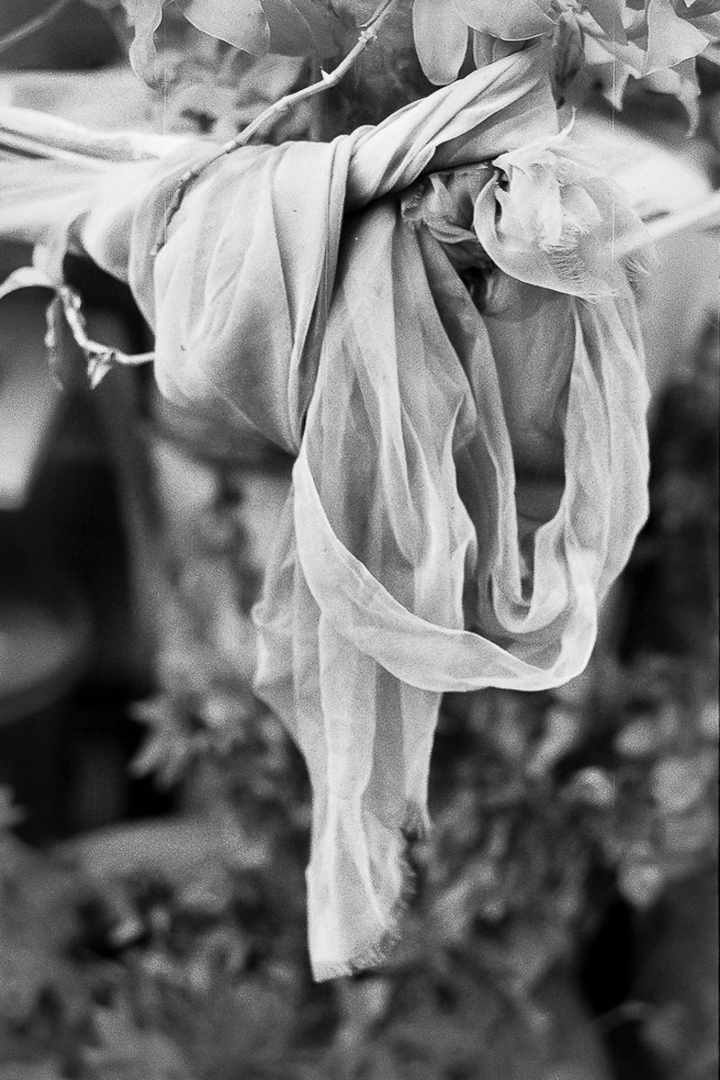 © Barbara Debeuckelaere - Image from the 'OM photography project