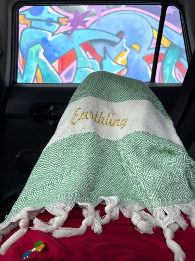 © Alison Muck - 'Hidden In Plein Sight,' graffiti by Mers.