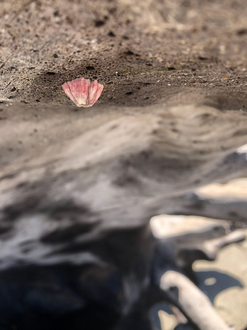 © Alison Muck - 'In Place, Not Alone'