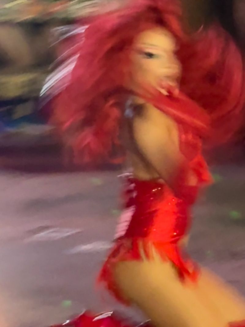 © Alison Muck - 'A Rose Blooms' featuring Star Wilderness.