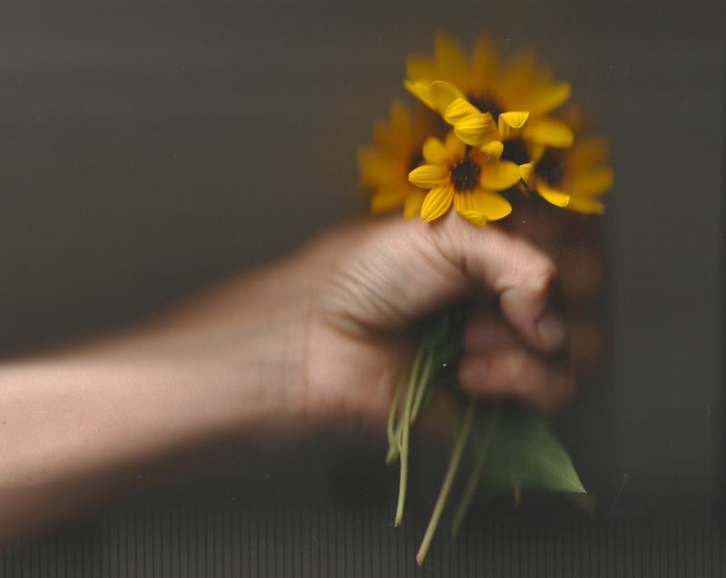 © Alison Muck - 'Earthling Embrace' featuring native beach sunflowers.