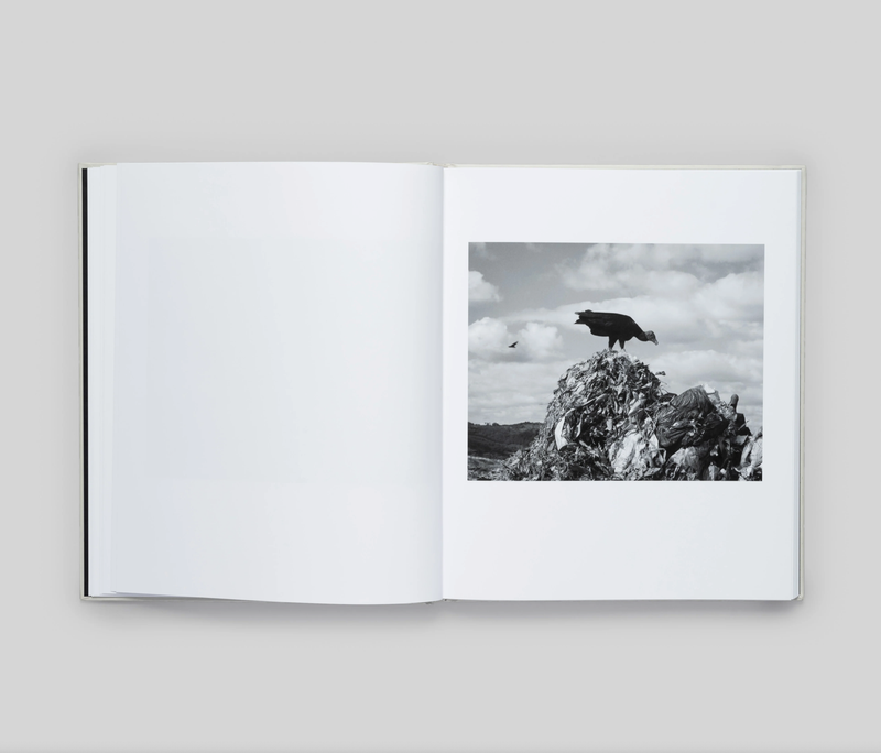 Image from a project on PhMuseum