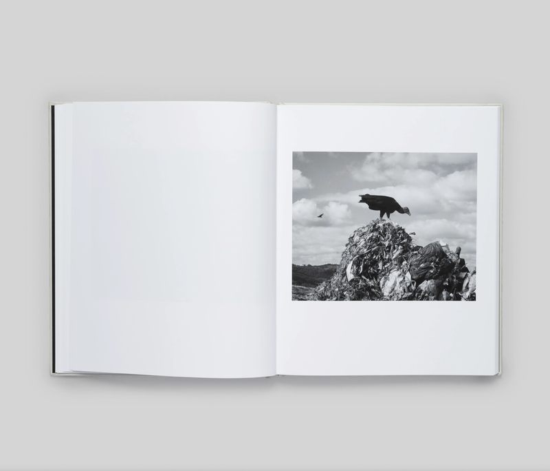 Image from a project on PhMuseum
