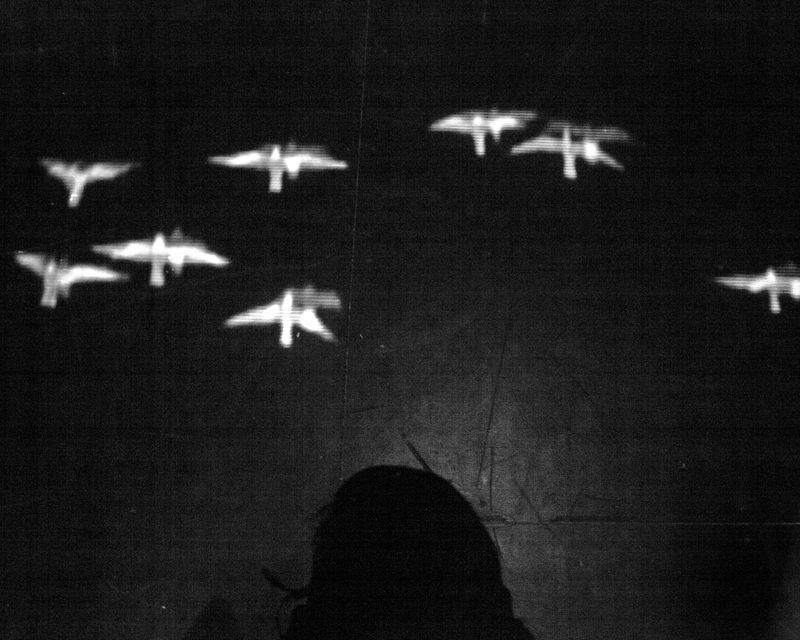 Image from a project on PhMuseum