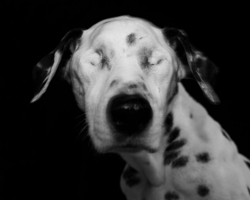 © Charlie Simokaitis - Image from the The Crisis Tapes photography project