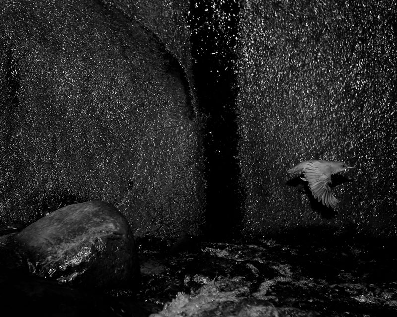 © Charlie Simokaitis - Image from the The Crisis Tapes photography project