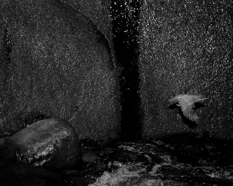 © Charlie Simokaitis - Image from the The Crisis Tapes photography project